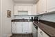 4880 N Marine Unit 515, Chicago, IL 60640