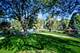 2315 S Goebbert Unit 209, Arlington Heights, IL 60005