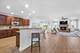 93 Open, Hawthorn Woods, IL 60047