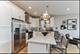 3215 N Elston Unit 2S, Chicago, IL 60618