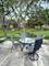 117 Dartmouth, Glenview, IL 60026