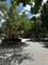 117 Dartmouth, Glenview, IL 60026