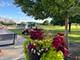 13810 S Magnolia, Plainfield, IL 60544