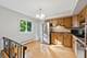 420 Dara James, Des Plaines, IL 60016