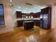 4856 S Prairie Unit 2, Chicago, IL 60615