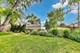 815 E Olive, Arlington Heights, IL 60004