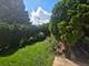1529 E Lincoln, Des Plaines, IL 60018