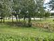 1189 Grissom, Elk Grove Village, IL 60007