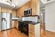 9655 Woods Unit 1809, Skokie, IL 60077