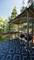 362 56th, Clarendon Hills, IL 60514