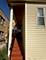 3238 N Natchez, Chicago, IL 60634