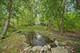 1161 Pine, Winnetka, IL 60093