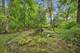 1161 Pine, Winnetka, IL 60093