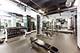 1100 N Dearborn Unit 1802, Chicago, IL 60610