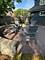 567 Deerpath, Glen Ellyn, IL 60137