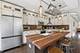 2046 N Hamlin, Chicago, IL 60647