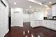 1828 S Peoria, Chicago, IL 60608