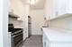 1828 S Peoria, Chicago, IL 60608