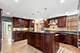 7236 N Olcott, Chicago, IL 60631