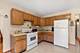 13429 W Glen Entrance, Homer Glen, IL 60491