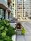 25 E Superior Unit 902, Chicago, IL 60611