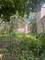1247 N Campbell, Chicago, IL 60622