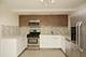 1160 N Lasalle Unit GARDEN, Chicago, IL 60610