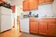 1041 W North Shore Unit 3S, Chicago, IL 60626