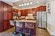 1441 W Cuyler Unit 2E, Chicago, IL 60613