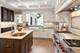 1424 Park, River Forest, IL 60305