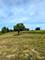 4215 S Il Route 47, Woodstock, IL 60098