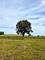 4215 S Il Route 47, Woodstock, IL 60098