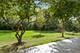 745 Dillon, Grayslake, IL 60030
