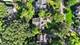 1030 Pleasant, Glenview, IL 60025