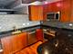 1910 S Indiana Unit 523, Chicago, IL 60616