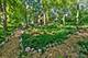 7N905 Woodcliff, South Elgin, IL 60177