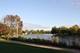931 Shattuck Unit 931, Schaumburg, IL 60194