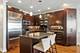 627 W Buckingham Unit 3, Chicago, IL 60657