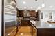 627 W Buckingham Unit 3, Chicago, IL 60657