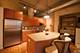 900 N Kingsbury Unit 777, Chicago, IL 60610