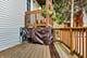 2850 N Albany Unit 1N, Chicago, IL 60618