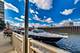 1009 N Riverwalk, Chicago, IL 60610