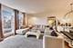 1009 N Riverwalk, Chicago, IL 60610