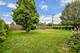 435 E Park, Elmhurst, IL 60126