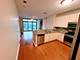1600 S Prairie Unit 1204, Chicago, IL 60616
