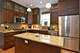 2122 W Barry Unit 2, Chicago, IL 60618