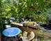 1537 N Claremont Unit 2, Chicago, IL 60622