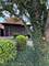 426 S Adeline, Addison, IL 60101