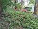 7149 S Champlain, Chicago, IL 60619