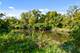 331 Old Hickory, New Lenox, IL 60451